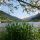 Brennsee (Feldsee) Bild für Fotogalerie