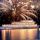 Lake Constance Image for photo gallery