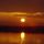 Sonnenuntergang - Neusiedler See Neusiedl am See