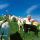 Switzerland Image for photo gallery - Elvetia