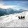 Winterwanderung auf dem Aletschplateau - Moerel - Breiten Wallis