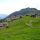 Riederalp Wallis