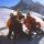 Schlittelplausch - Riederalp Wallis