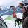 Flims Laax Falera Bild für Fotogalerie