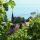 Murtensee Bild für Fotogalerie
