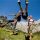 Alpine Gastgeber Bild # der Willkommensseite