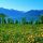 Gmund am Tegernsee Bild 