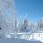 Fichtelgebirge Baviera