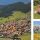 Ro&szlig;haupten - als ob das Allg&auml;u hier in Urlaub w&auml;re!