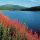 Eckertalsperre bei Bad Harzburg - Wellness, Wandern, Nordic Walking, Mountainbike