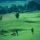 Golf-Dorado Neumarkt i.d.OPf.. - Neumarkt Baviera