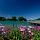 Tegernsee