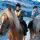 Suedtirol