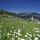 Spinges Suedtirol