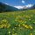 Gossensass Suedtirol