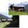Parco Naturale dello Stelvio 