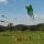 Andalo Image for photo gallery - Andalo Trentino
