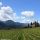 Südtirols Süden - Bolzano Vigneti e Dolomiti Alto Adige