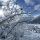 Pfalzen South Tirol