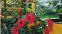 Alpine Gastgeber - Haus Sailer