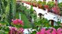 Pension Arkadenhof Bild # der Willkommensseite
