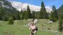 Leutasch - Hikingtrip to Hämmermoosalm - AdlerHof - Leutasch bei Seefeld / Tirol Leutasch