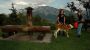 Theresa &. Johanna - Bauernhof "Margarethengut" am Attersee- Ferienhaus Unterach am Attersee