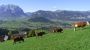 Bio-Erlebnis-Bauernhof Thonnerhof Grimming Mountain Region