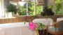 Frühstücksraum im Sommer - Gaestehaus Fertschey Velden am Woerthersee