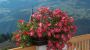 Hotel Alpenrose Fendels