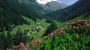 Gasthof Stieber Bild für Fotogalerie