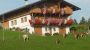 Appartement SONNRAST -Frieda Moser  Wildschoenau