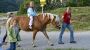 Kinder reiten - Feichtinger Steinbach am Attersee