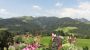 Ausblick im Sommer, Hotel Landhaus Marchfeld