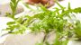 alpin art & spa hotel naudererhof Nauders