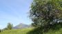Pension Foidl Guesthouse - Pension Foidl Kitzbuehel