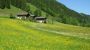 Urlaub am Oberauhof im Salzburger Land Kleinarl