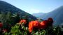  Appartements-Martha in Matrei in Osttirol Sommerurlaub 640x480