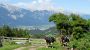 Blick nach Innsbruck