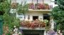 Haus Margarethe - Haus Margarethe Moerbisch am Neusiedler See