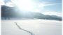 Sunny south in winter!