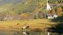 Pferde am Wasser - Appartements Ferienhaus Bergsee Heiligenblut