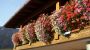 Hotel Walserberg Warth am Arlberg