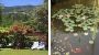 Pension Haus Katrin *** Steindorf am Ossiacher See