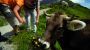 Wanderbares Tannheimer Tal