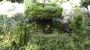 Hotel Gruenes Tuerl Bad Schallerbach