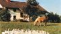   BIO-Bauernhof - Familie Schildorfer  BIO - Bauernhof Rastenfeld