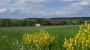 Blick auf das Haus vom Marterl - Familie Schildorfer Rastenfeld