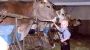 Familienurlaub_Kinder