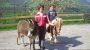 Esel Friedolin und Pony Johnny im Einsath